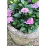 Composite stone circular planter, relief moulded decoration, (30cm x 50cm)