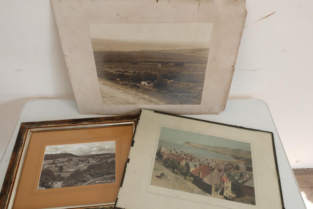 Jas. Ray of Goathland unframed black & white photo. of a terrier by a cross on Goathland Moor, a