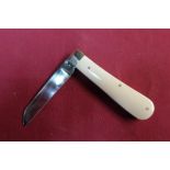 Single bladed pocket knife with ivory grips