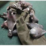 Selection of pigeon decoys in a kit bag