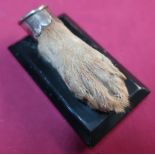 Late Victorian rectangular paper weight mounted with foxes paw with white metal mount engraved O.S.