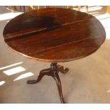 19th C mahogany tripod table, with circular top and turned column on three splayed legs (diameter