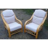 Two conservatory style arm chairs with loose cushions