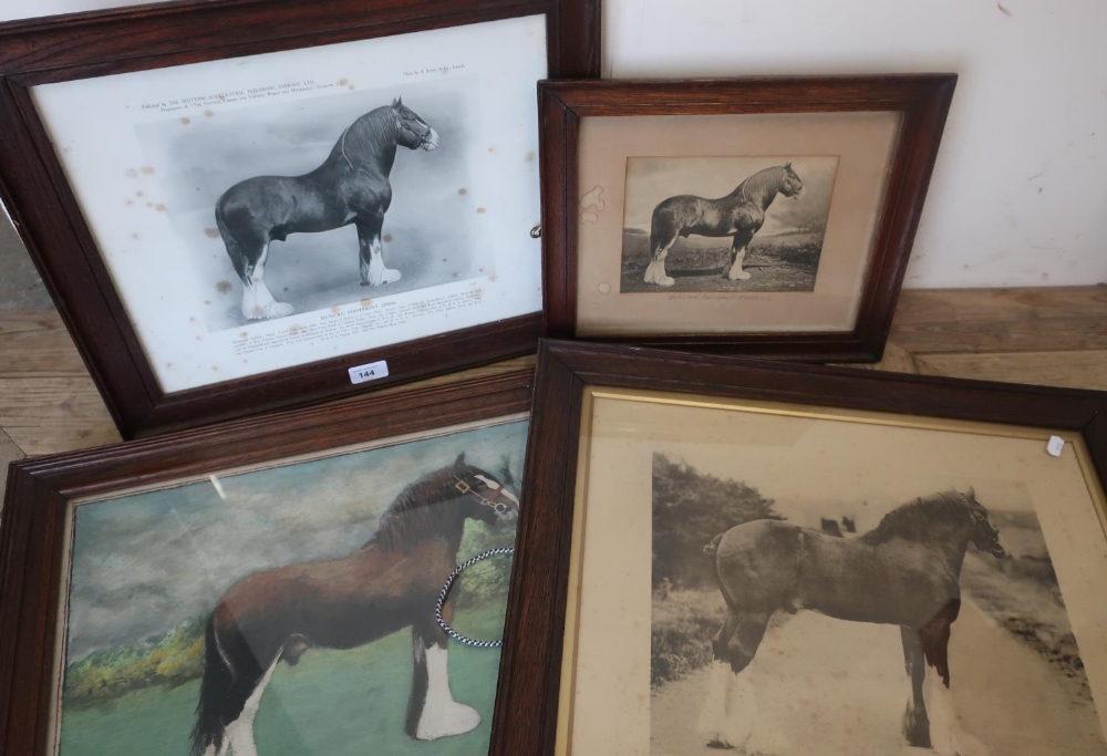 Heavy Clydesdale horse interest; selection of c.1912 photographs including a montage of 12 Craigie