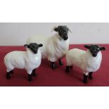 Beswick ram and two lambs (3)