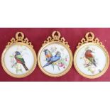 Set of three Limoges circular plaques, printed and enameled with exotic birds, in gilt metal