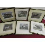 Collection of 19th C and later steel engravings and other prints of horses including Beauty and