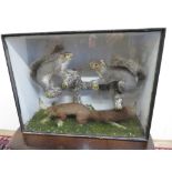 Edwardian cased taxidermy study of one red and two grey squirrels in naturalistic setting (59cm x