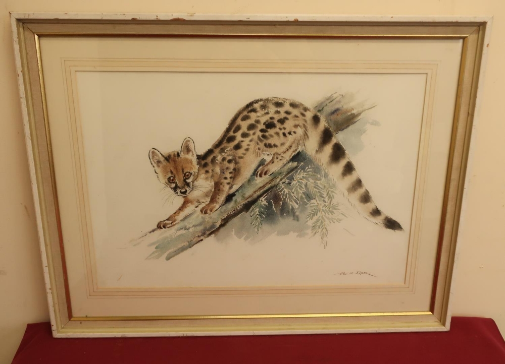 Eileen A Soper (1905-1990): 'Genet', watercolour, signed, 37cm x 55cm, with Mall Galleries Society - Image 2 of 4