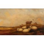 T. Jackson (19th C): Sheep and cattle in an extensive landscape, oil on canvas, signed, 23cm x 39cm