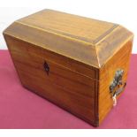 19th C satinwood rectangular tea caddy with two ring handles and on four brass ball feet (W18cm x