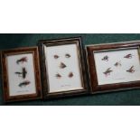 Three framed displays of vintage salmon and trout flies