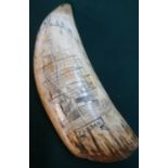 19th C Scrimshaw whales tooth depicting sailing ship `Pledge' (L6.25)