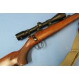 CZ Brno bolt action .22 rifle with five shot detachable magazine, sound moderator and Bush Master