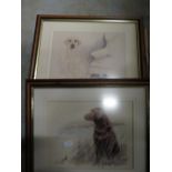 Jill Evans, Labradors, set of five signed limited edition prints (5)