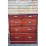Early 20th C mahogany chest of two short above three long drawers, on plinth base W110cm D58cm