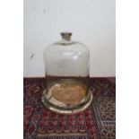 Large clear glass cloche/scientific bell jar with cork stopper, approx H48cm at base D38.5cm