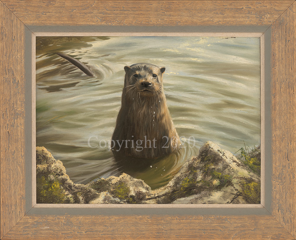 Otter - Original