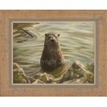 Otter - Original