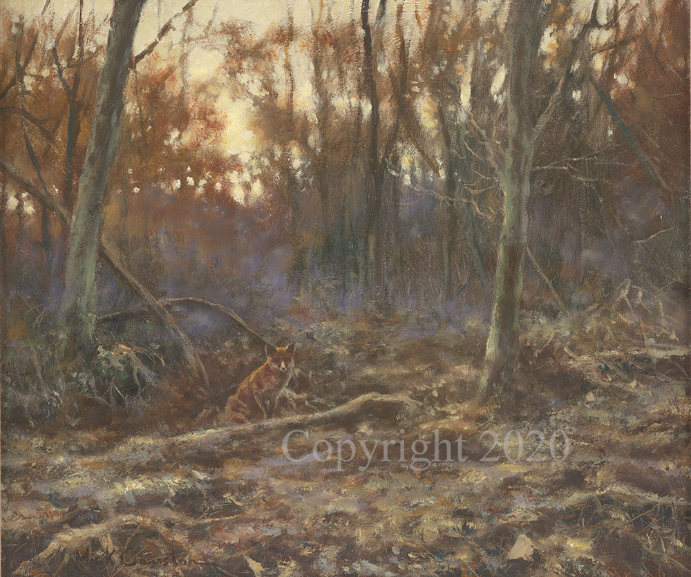 Fox in Sunset Woods - Original - Image 2 of 3