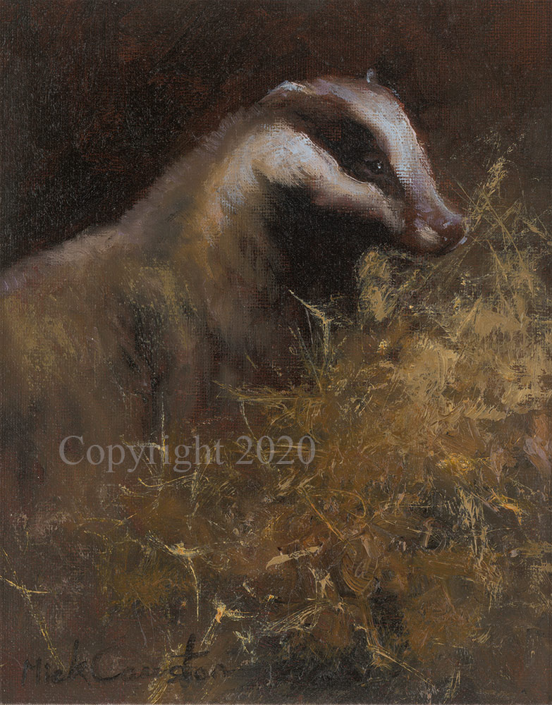 Study of a Badger - Original - Image 2 of 2