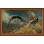 Peregrine on Pheasant - Original