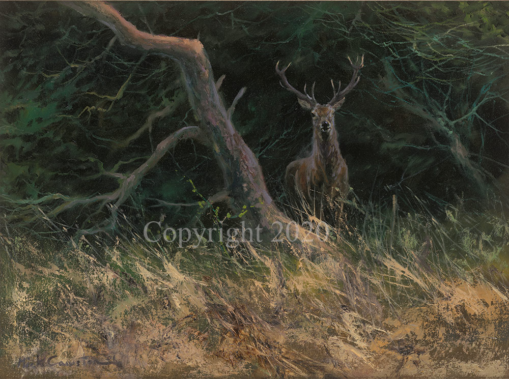 Woodland Stag - Original - Image 2 of 3