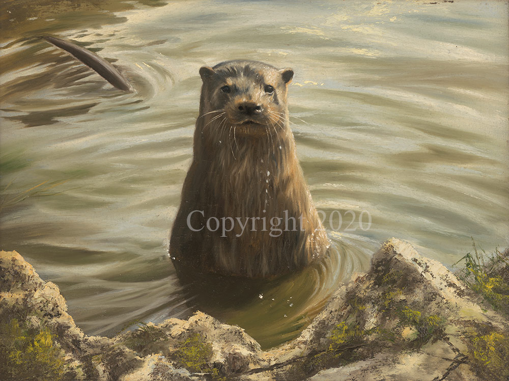 Otter - Original - Image 2 of 2