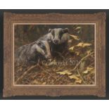 Badgers - Original