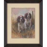 Springers - Original