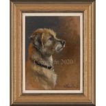 Border Terrier Portrait - Original