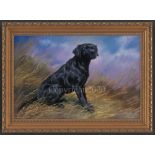 Black Labrador - Original