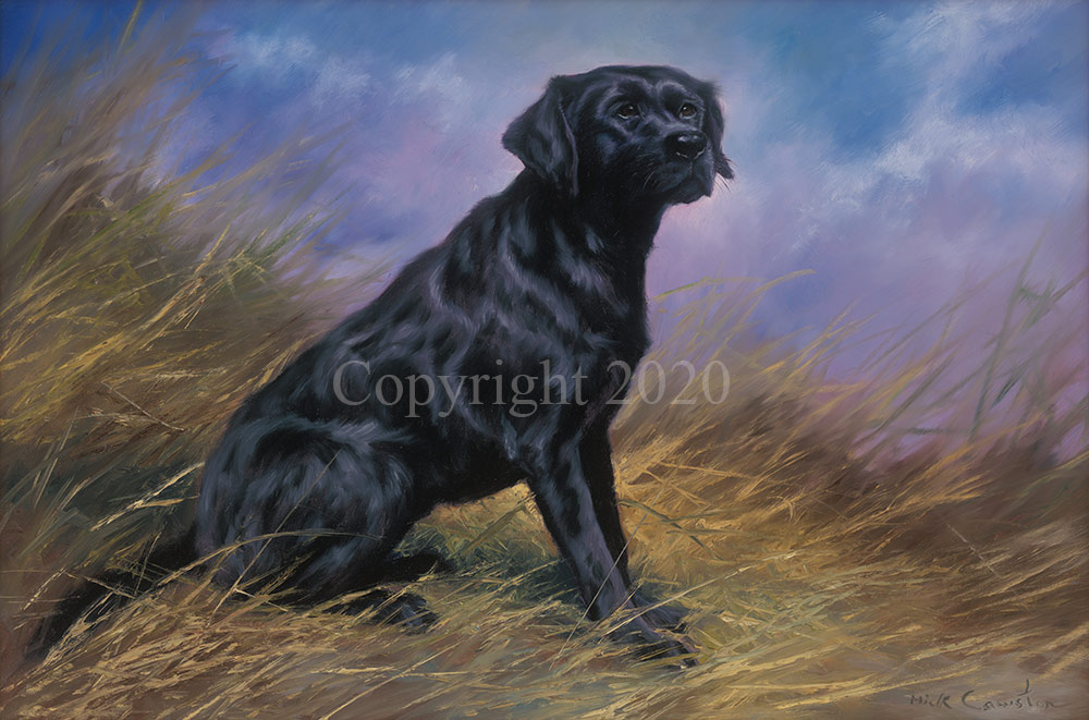 Black Labrador - Original - Image 2 of 4