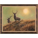 Sunset Stags - Original