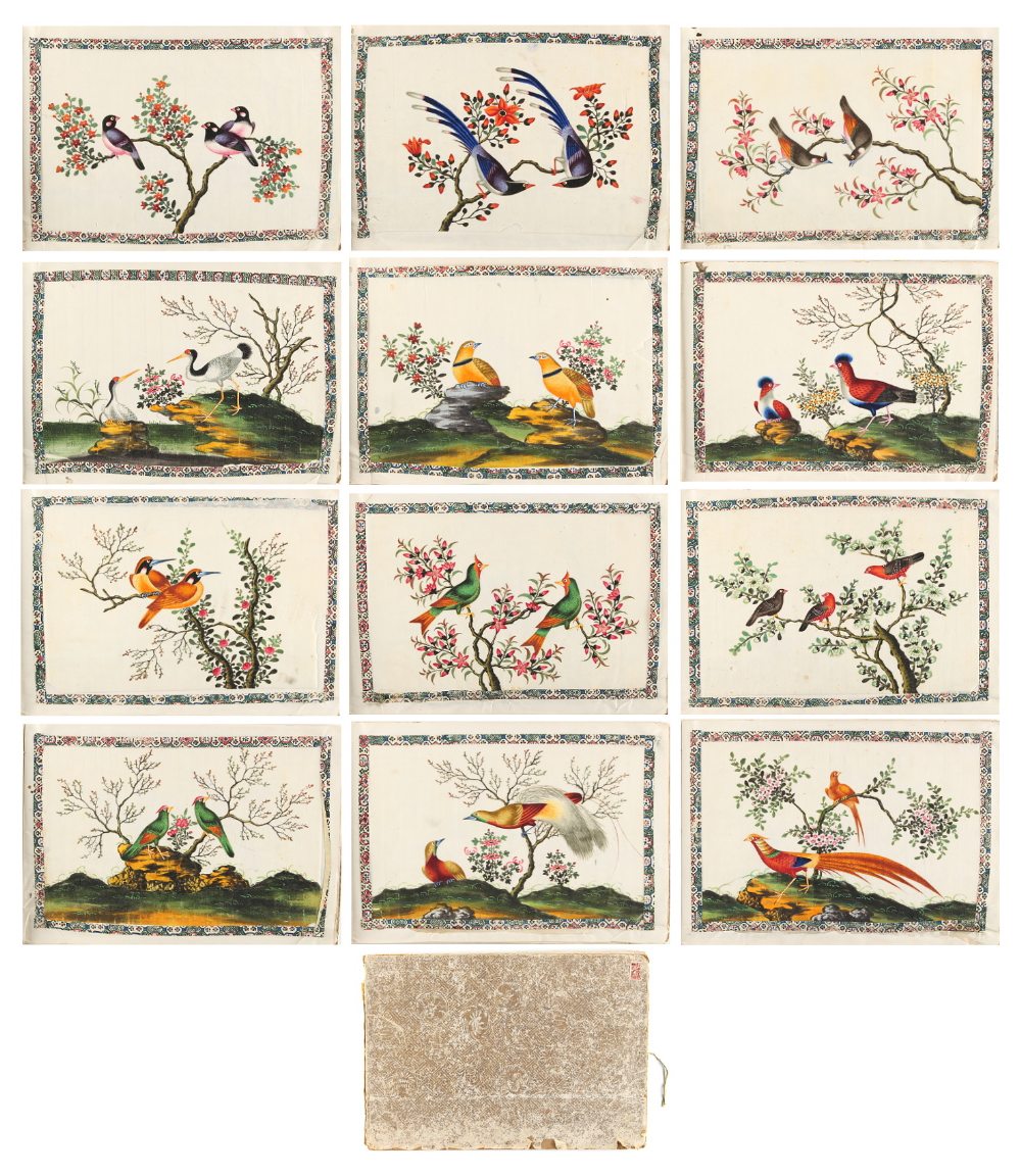 An album containing a complete set of twelve 19th century Chinese paintings on pith paper