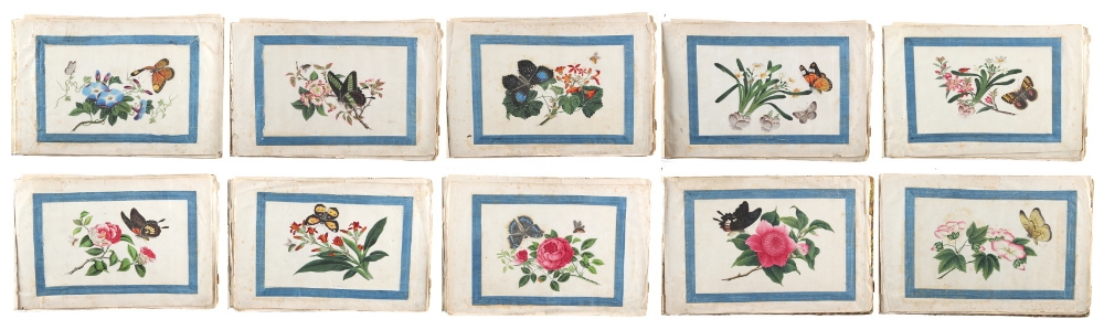 A 19th century Chinese album of ten pith paper paintings depicting butterflies & flowers, each