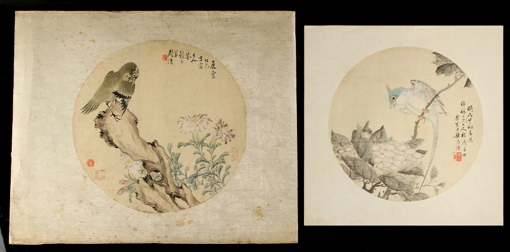 Two 19th century Chinese fan paintings on silk depicting birds among flowering shrubs, with