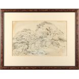 Property of a lady - Henry Clarke Pidgeon (1807-1880) - 'YEW TREES ON ESTHWAITE FELL' - drawing,