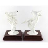 Property of a gentleman - a pair of white glazed porcelain models of birds, in the manner of Dorothy