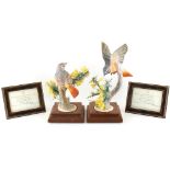 Property of a gentleman - a collection of Royal Worcester limited edition models of birds by Dorothy