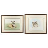 Property of a lady - Lita Thomson (modern) - KUDU CALF and SNOW LEOPARD - two watercolours, 12.4