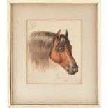 Property of a deceased estate - English school, 19th century - STUDY OF A HORSE, HEAD AND MANE -