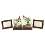 Property of a gentleman - a collection of Royal Worcester limited edition models of birds by Dorothy