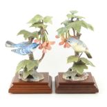 Property of a gentleman - a collection of Royal Worcester limited edition models of birds by Dorothy