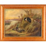 Robert Cleminson (fl.1864-1903) - TWO SPANIELS RAISING A MALLARD - oil on canvas, 12 by 16ins. (30.5