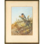 Property of a gentleman - George Morrison Henry (1891-1983) - STONECHATS - gouache, 9.7 by 7ins. (