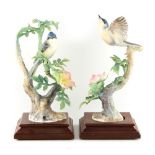 Property of a gentleman - a collection of Royal Worcester limited edition models of birds by Dorothy