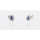 A pair of white gold sapphire & diamond oval cluster stud earrings, the oval cut sapphires