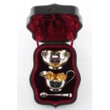 Property of a gentleman - a Victorian silver cream jug with matching sugar bowl & sugar nips set,
