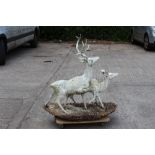 Property of a deceased estate - a white painted metal garden group of two deer, on concrete base,